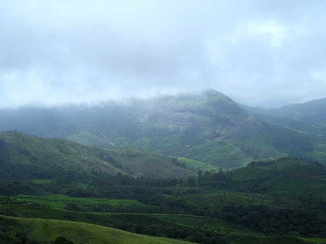 Anamudi Shola National Park in Idukki, Kerala | Keralaorbit