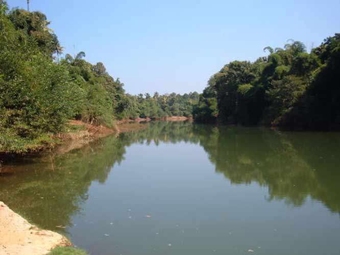 Manimala River in Kottayam, Kerala | Keralaorbit