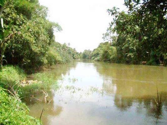 Manimala River in Kottayam, Kerala | Keralaorbit